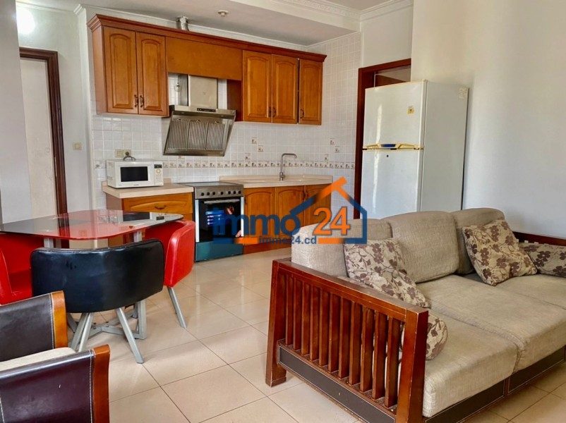 Appartement meublé 1 chambre Gombe